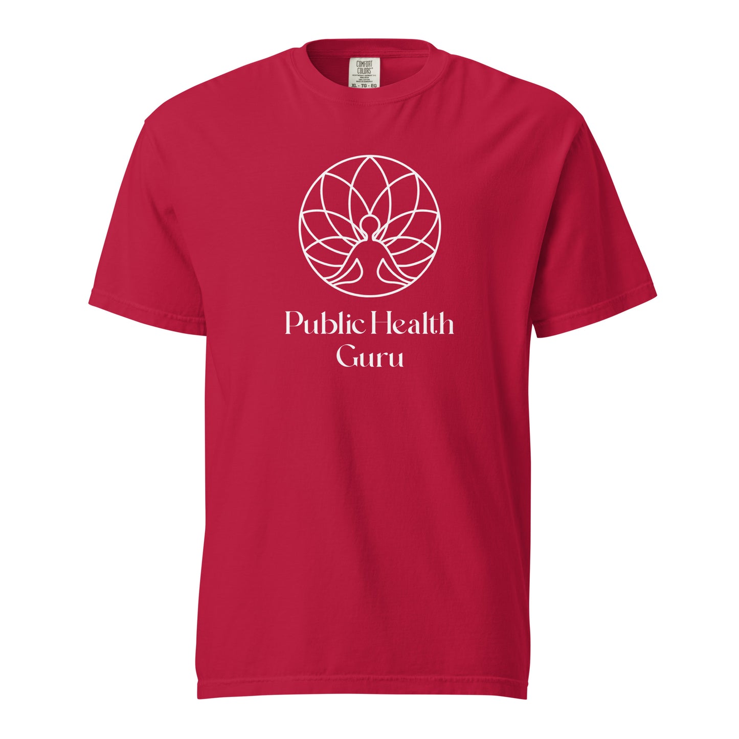 Public Health Guru - LEAP Merch (Unisex Garment-Dyed T-shirt)